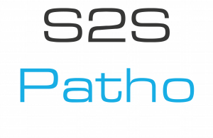 S2S Patho Averbis GmbH