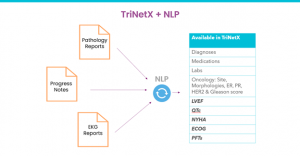 TriNetX und NLP_Averbis inside